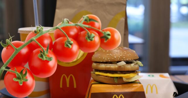 Tomates junto a hamburguesa de McDonald's en experimento de semillas que germinan y crecen en plantas.
