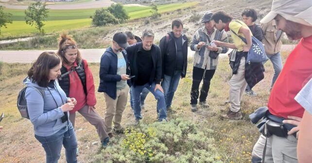 Biomaratón de Flora Española 2026