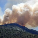 Castilla y León cache des rapports sur la gestion des zones brûlées selon les écologistes après avoir autorisé la chasse et le pâturage