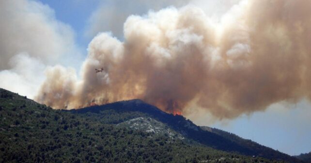 Castilla y León oculta informes sobre la gestión de zonas quemadas incendio León