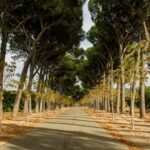 Corridor écologique sud-ouest : le grand poumon naturel que Madrid pourrait perdre à cause de la pression urbaine