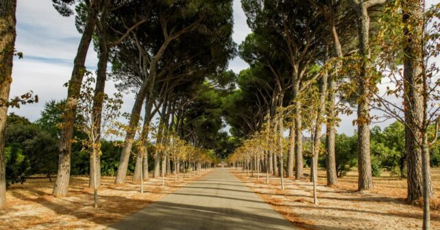 Corredor Ecológico del Suroeste con espacios naturales y hábitats protegidos en Madrid