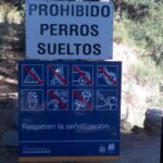 Des amendes allant jusqu'à 200 000 euros pour les propriétaires de chiens en Espagne pour un geste que vous faites quotidiennement : l'article 25 de la loi sur le bien-être animal le soutient