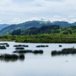 Des chercheurs impliquent les municipalités de Biscaye dans l'amélioration de la qualité de l'eau à Urdaibai et Lea-Artibai