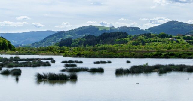 Investigadores implican a municipios de Bizkaia en la mejora de la calidad del agua