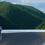 Écotourisme au Tajo Internacional : le grand élan vert