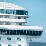 Excréments et urine de rongeurs lors de l'épidémie d'hantavirus sur un bateau de croisière, désormais sous surveillance sanitaire