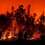 Fernando Pulido prévient que les méga-incendies en Estrémadure seront de plus en plus extrêmes