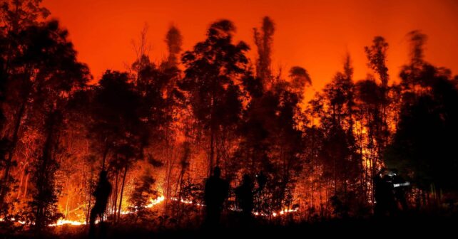 expertos alertan sobre el riesgo de megaincendios en extremadura