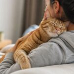 Il ne vous choisit pas pour se nourrir : ce qu'un chat recherche réellement lorsqu'il s'approche d'un humain et reste avec lui, selon les vétérinaires