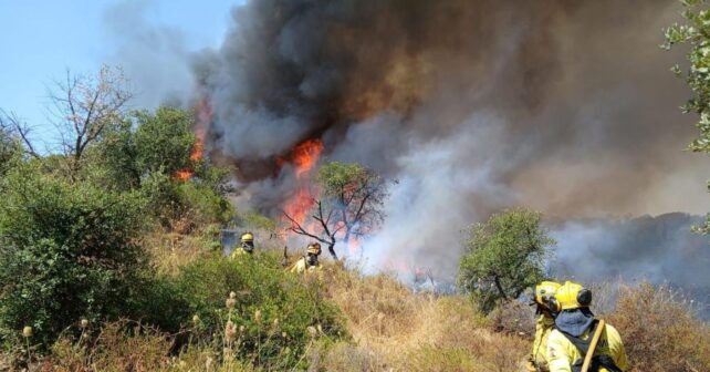 incendio intencionado en Doñana con medios aéreos actuando sobre el fuego