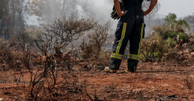 prevención de incendios forestales con brigadas y vigilancia en España