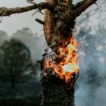 L'Espagne lance un système révolutionnaire pour détecter les incendies de forêt avec moins d'erreurs grâce à l'indice Aemet IPIF