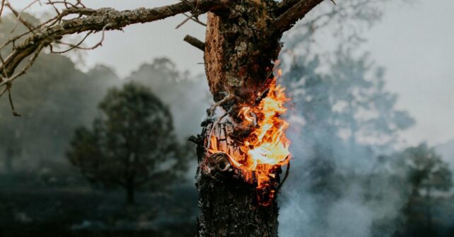 España estrena un sistema revolucionario para detectar incendios forestales con menos errores
