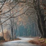 La Députation Forale d'Alicante investit pour prévenir les incendies de forêt dans les 141 communes de la province