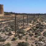 La fermeture du littoral de Llucmajor menace les habitats protégés du réseau Natura 2000