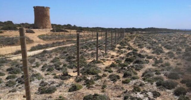 El cierre del litoral en Llucmajor amenaza hábitats protegidos