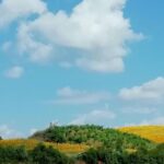 La météo d'aujourd'hui, 28 mai, en Espagne déclenche une chaleur extrême avec des maximales allant jusqu'à 38 degrés.