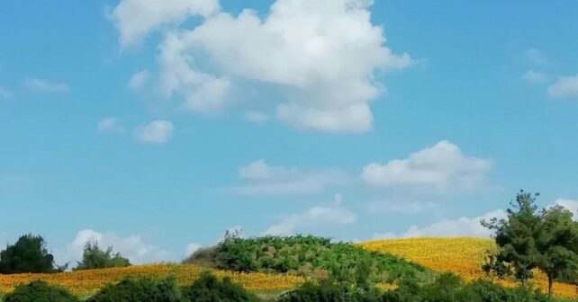 El tiempo hoy 28 de mayo en España con calor extremo en ciudades del sur y valle del Ebro