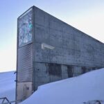 La réserve de semences du Svalbard remporte le prix Princesse des Asturies après avoir stocké 1,3 million d'échantillons