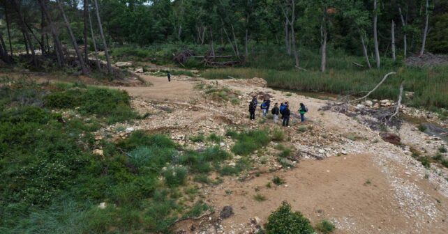 la restauración del río Mijares tras la DANA impulsada por WWF y Allianz