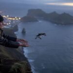 La scène étrange sur les falaises d'Islande : des oiseaux en voie de disparition sont jetés dans le vide et les biologistes applaudissent