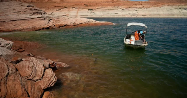 Une équipe de recherche de l'Université d'État de l'Utah travaille au lac Powell le 7 juin 2022, à Page, en Arizona. Confirmant leurs pires craintes concernant des niveaux d'eau record, les biologistes des pêches du National Park Service ont découvert que l'achigan à petite bouche, un poisson prédateur non indigène, a traversé le barrage de Glen Canyon et semble avoir frayé dans le cours inférieur du fleuve Colorado, où il peut s'attaquer au chevesne à bosse, un ancien poisson indigène qu'ils s'efforcent de rétablir.