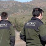 Les agents environnementaux encouragent l'enquête sur les incendies de forêt en Espagne face à des incendies plus rapides et destructeurs