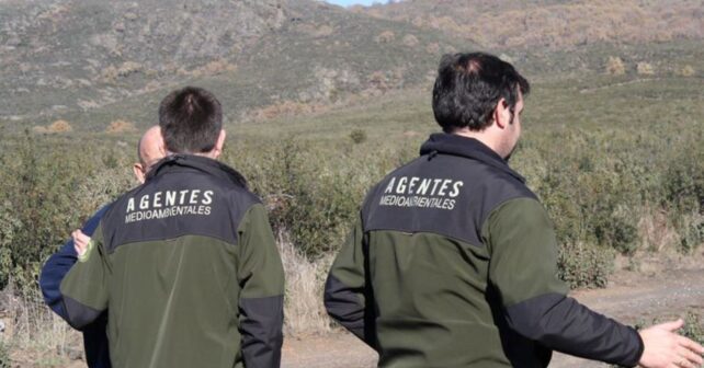 Agentes medioambientales impulsan la investigación de incendios forestales en España
