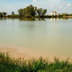 Les écologistes rejettent la réouverture de la mine d'Aznalcóllar et mettent en garde contre l'impact sur Doñana