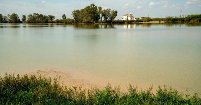 ecologistas rechazan la reapertura de la mina de Aznalcóllar