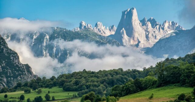 Fondos para la conservación de los prados en Picos de Europa