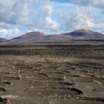 Les îles Canaries lancent le site officiel de leurs parcs nationaux pour promouvoir leur gestion et leur conservation