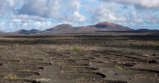 Canarias lanza la web oficial de sus parques nacionales