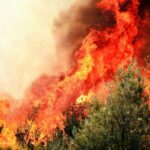 Les risques d'incendies dus à El Niño déclenchent des alertes mondiales