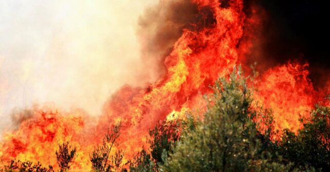 riesgo de incendios por El Niño