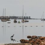 MITECO et les universités évalueront la récupération de la Mar Menor avec un soutien scientifique
