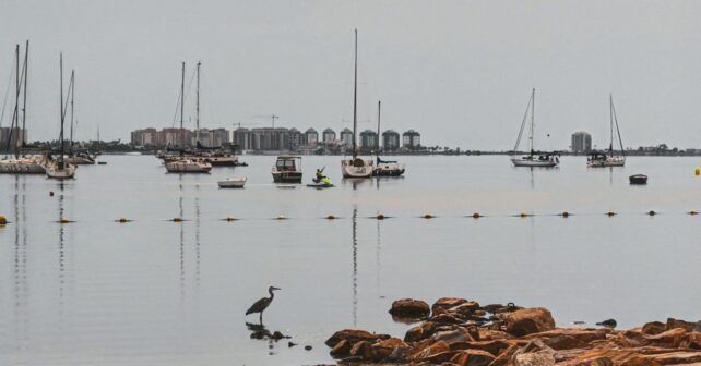 MITECO y universidades evaluarán la recuperación del Mar Menor laguna