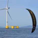 Poulpes, requins et orques : voici comment un parc éolien portugais a transformé les fonds marins en seulement 8 ans