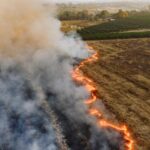 Prévention des incendies de forêt en Andalousie : le nouveau plan met l'accent sur l'élevage extensif et la transhumance contre les incendies