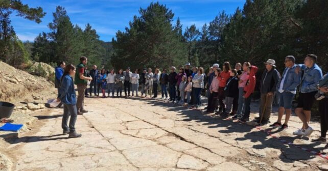 yacimiento de huellas de dinosaurio Mas de Pérez con icnitas fósiles de terópodos en Teruel