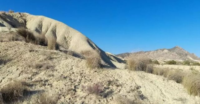 Estrategia de la Región de Murcia frente a la sequía en los montes