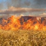 Telefónica et Endesa promeuvent les drones pour prévenir les incendies, capables de surveiller à distance les montagnes et les réseaux électriques