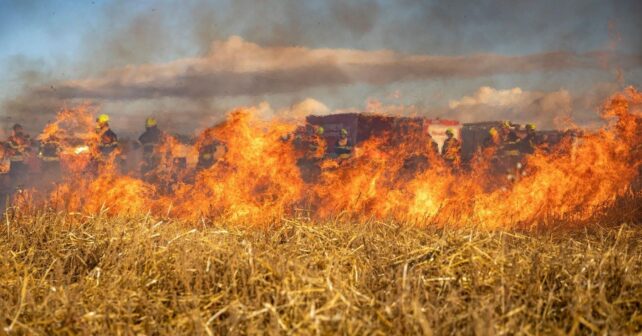 drones para prevenir incendios sobrevolando una zona forestal