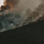 Tenerife alloue 7 millions pour renforcer la prévention des incendies de forêt après le grand incendie de 2023