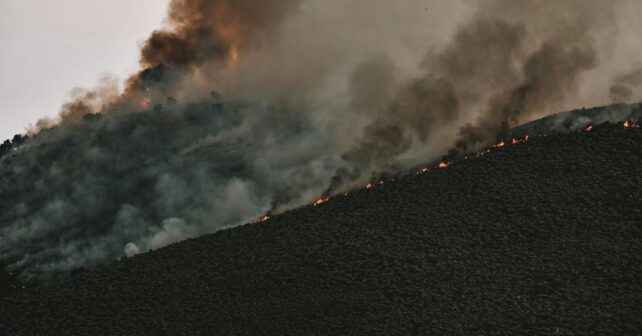Incendios forestales y prevención ambiental en Tenerife
