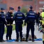 Un pêcheur du canal de Roubaix découvre un crocodile mort : une enquête ouverte pour comprendre comment il est arrivé là