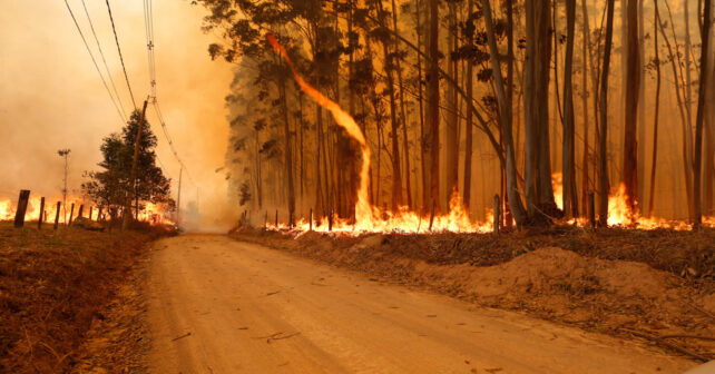 robot bombero incendios forestales tecnologia IA extincion