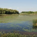 Une histoire environnementale de la zone humide de Toxiza Galice : 11 000 ans qui expliquent sa dégradation actuelle