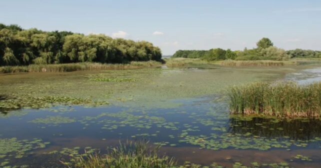 ALT: Humedal de A Toxiza historia ambiental Galicia turbera